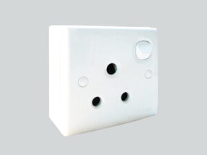 16. 15Amp/230V SP 50Hz AC Socket with 24hrs Supply (Max 3kW, not for lighting)